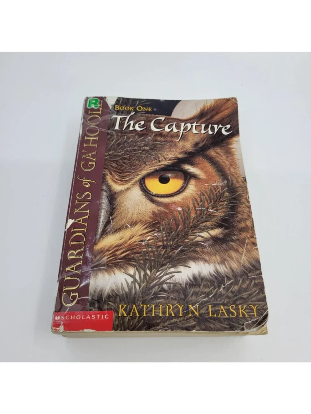 Guardians of Ga'Hoole by Kathryn Lasky Lot of Chapter Books - BK093